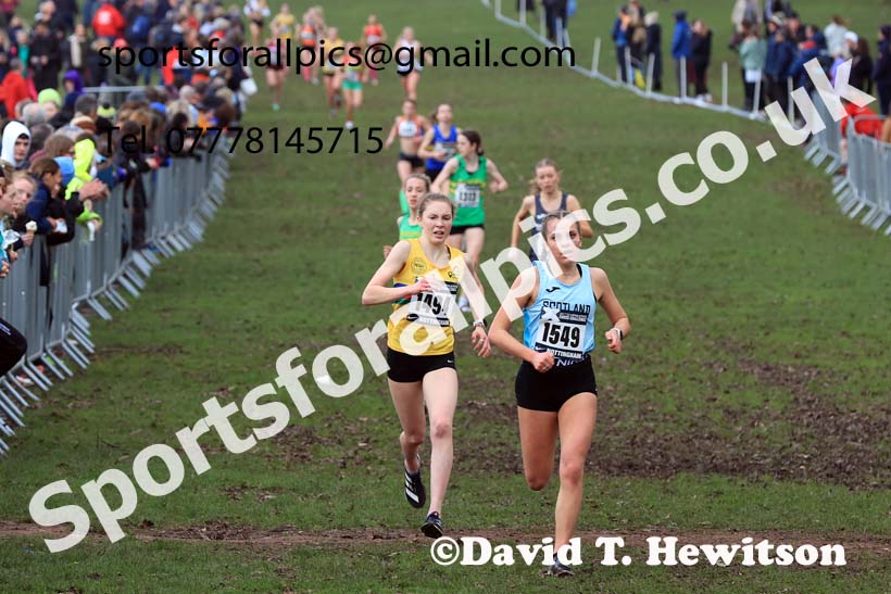 Womens Under-17s, 2024 CAU Inter Counties Cross Country Champs., Wollaton Park, Nottingham. Photo: David T. Hewitson/Sports for All Pics